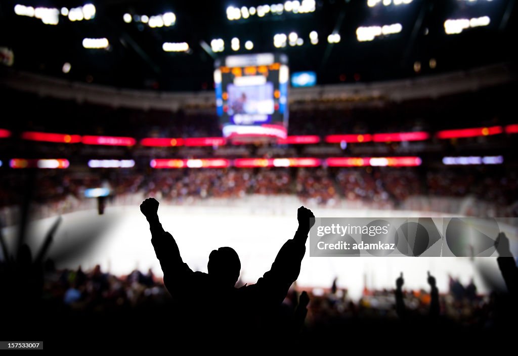 Hockey Excitement