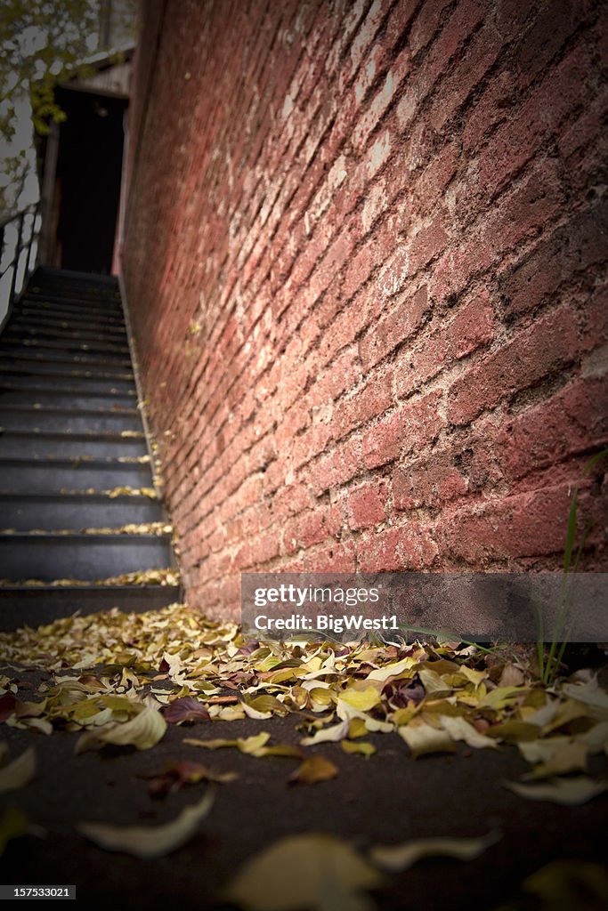 Escaleras y ladrillo