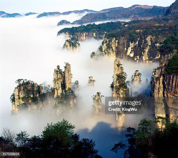 zhangjiajie national forest - zhangjiajie-national-forest-park stock pictures, royalty-free photos & images