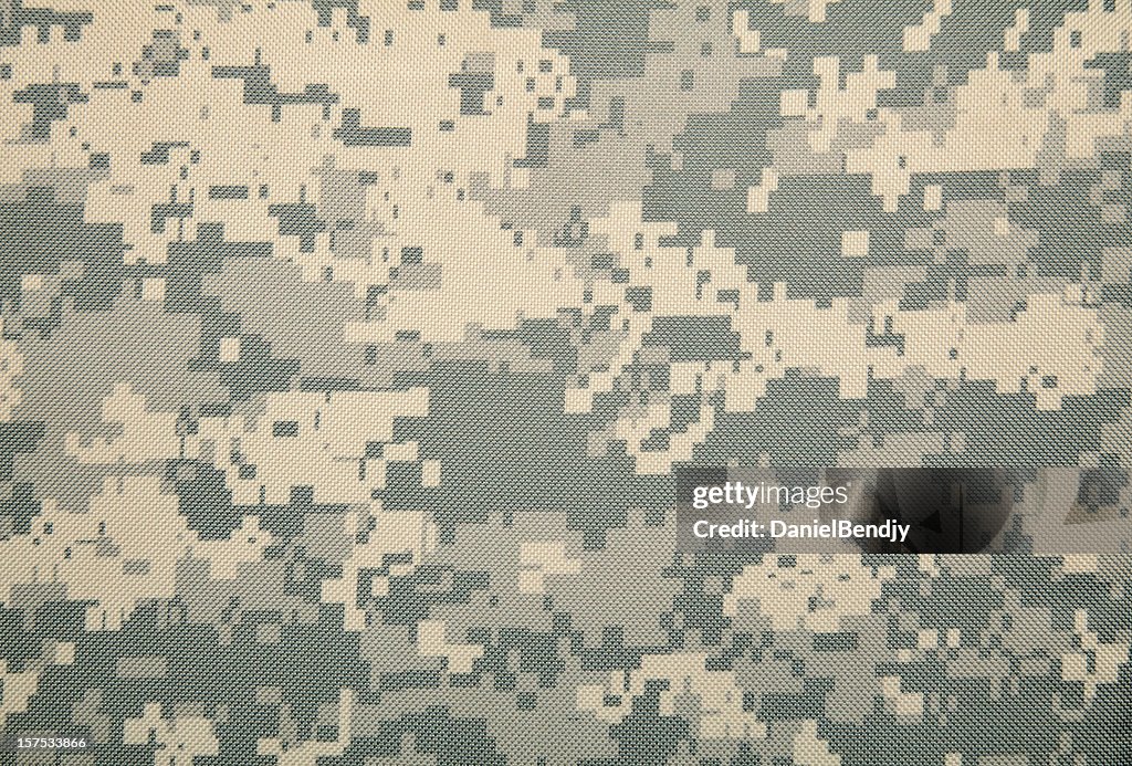 Universal Camouflage Pattern (COLD)