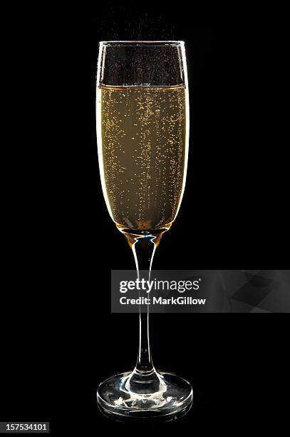 champagne glass - glass of prosecco stockfoto's en -beelden