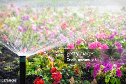 Automatic Sprinkler Watering Flowers