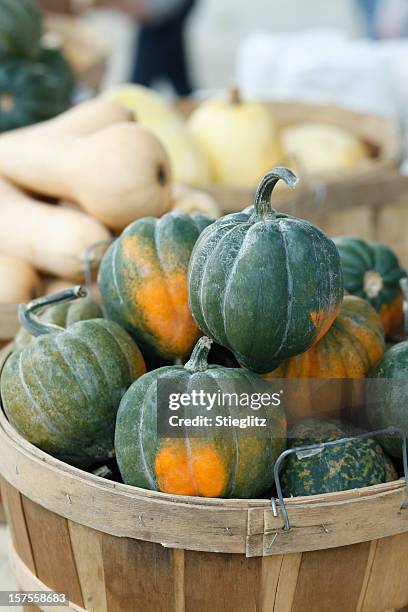 basket filled with organic acorn squash - acorn squash stock pictures, royalty-free photos & images