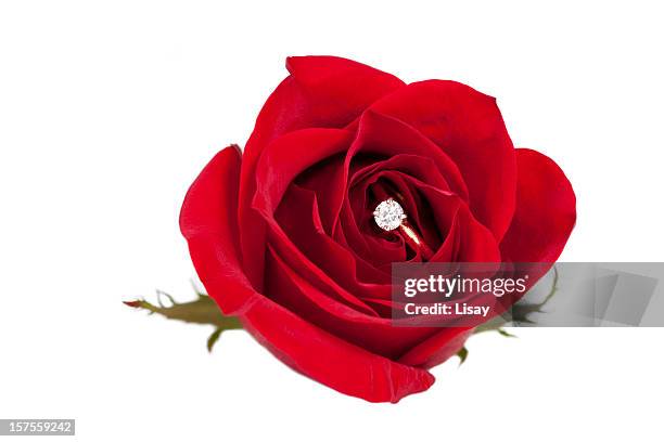 Red Roses Rng 86 Diamond Ring With Red Roses Stock Photos, High-Res Pictures, and ...