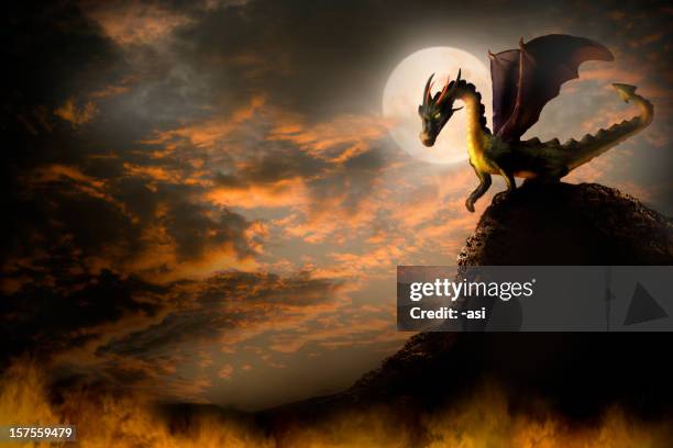 illustrazioni stock, clip art, cartoni animati e icone di tendenza di drago su una roccia. - dragon