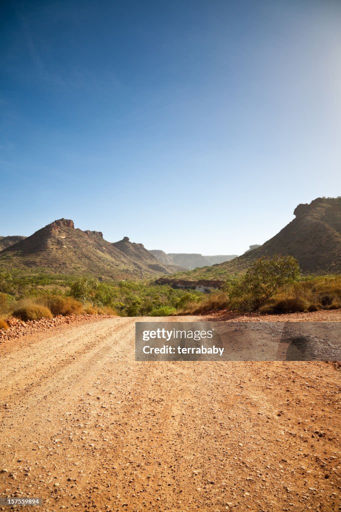 Canyon and Desert Landscape