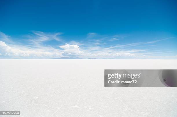 salar de uyuni - horizon over land 個照片及圖片檔
