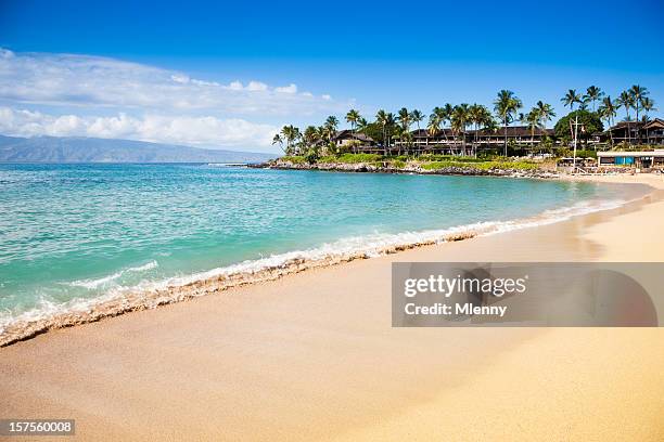 dream beach napili bay maui hawaii - lahaina hawaii stockfoto's en -beelden
