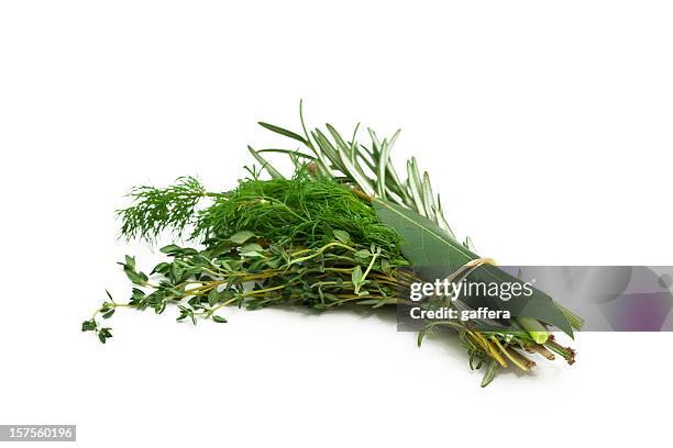 bunch of mixed herbs - bouquet garni stock pictures, royalty-free photos & images
