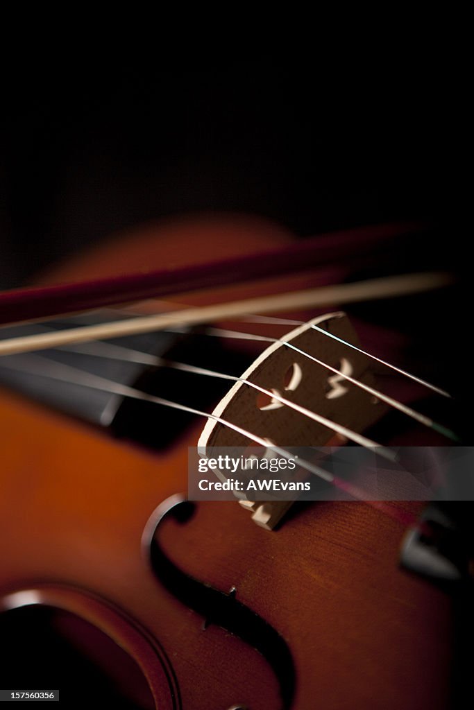 Classy violin