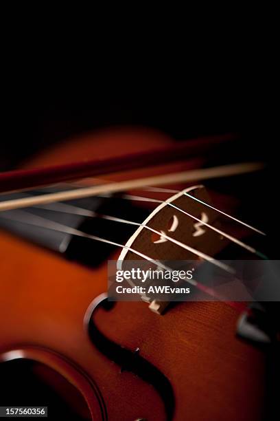 Classy Violin High-Res Stock Photo