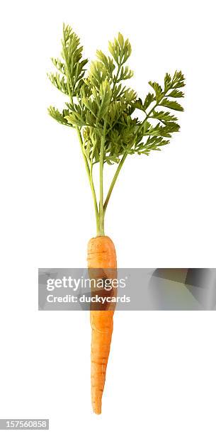 carrot - wortel stockfoto's en -beelden