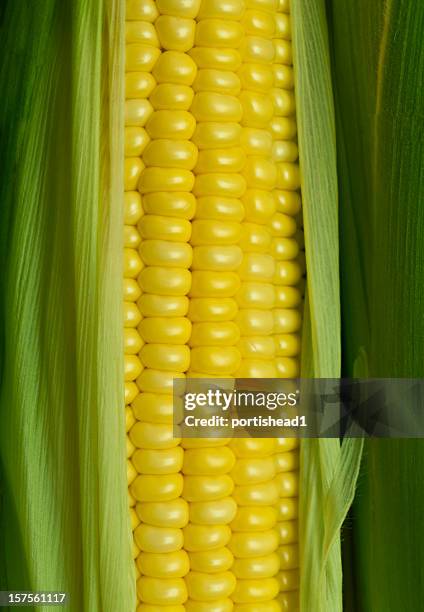 Sweetcorn High Resolution Sweetcorn Macro Photos and Premium High Res Pictures - Getty Images