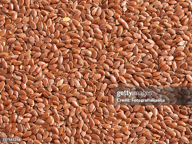 flax seeds background - flax plant stock pictures, royalty-free photos & images