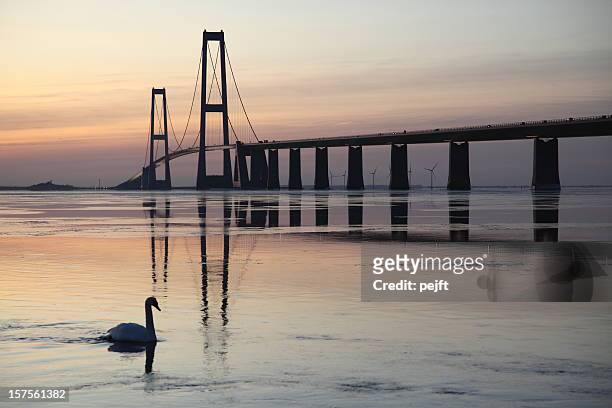 a beautiful bridge at sunset with a swan in the water - pejft stock pictures, royalty-free photos & images