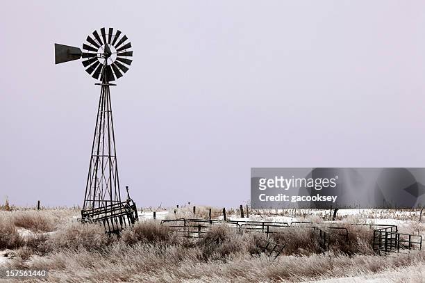 windmühle, grasflächen, lila sonnenaufgang - texas v kansas stock-fotos und bilder