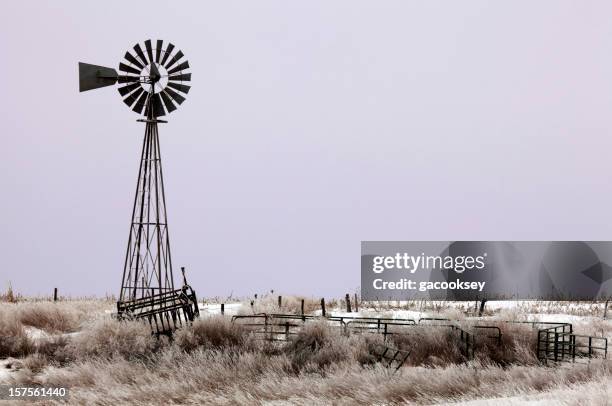 windmill, grassland, purple sunrise - texas winter stock pictures, royalty-free photos & images