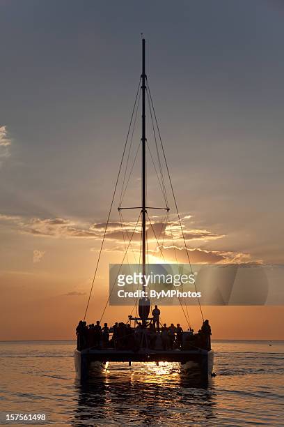 catamaran sunset cruise in the caribbean - catamaran stock pictures, royalty-free photos & images