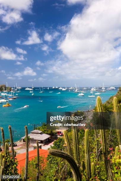 yachts in saint barths harbor - gustavia harbour stock pictures, royalty-free photos & images