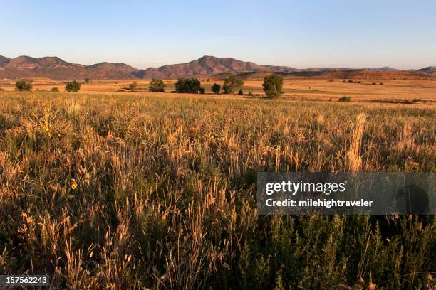 sonnenaufgang über graslandschaften, hügeln, colorado - lakewood colorado stock-fotos und bilder