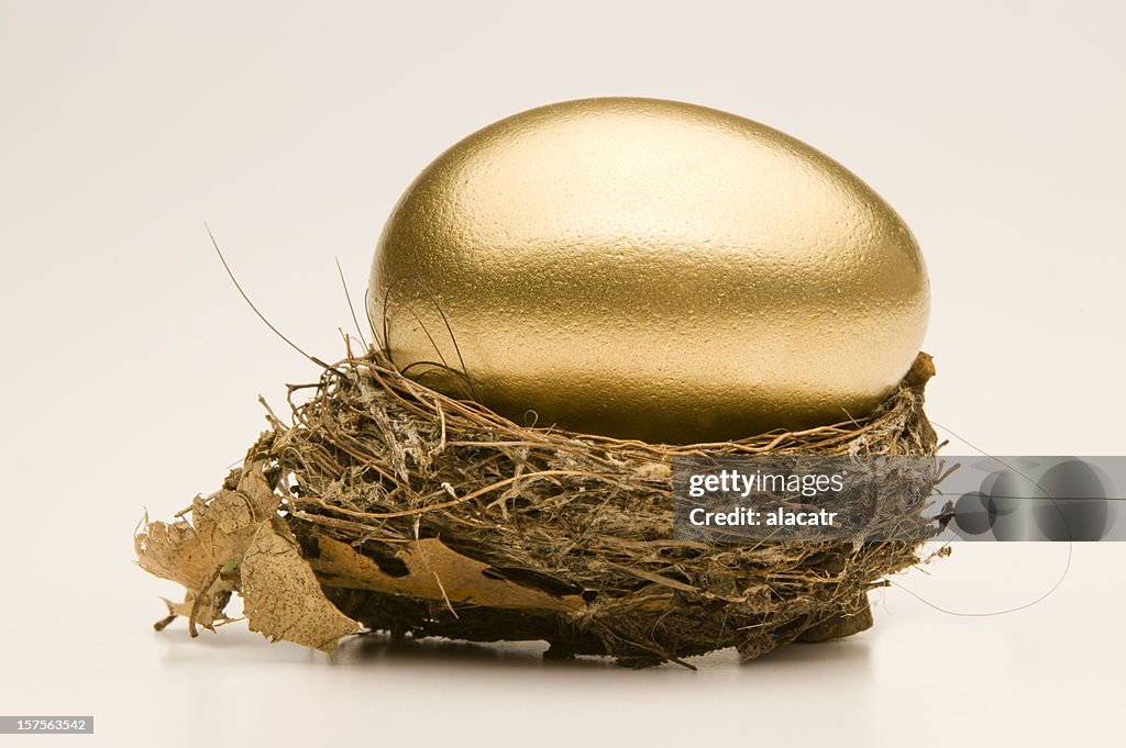 Large egg in a small nest.