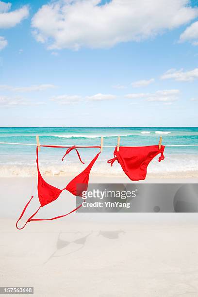beach bikini hanging on clothesline for caribbean sea summer fun - clothesline stock pictures, royalty-free photos & images