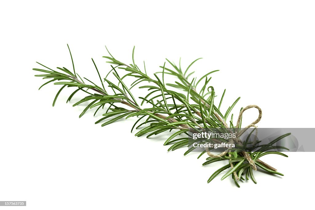 Fresh rosemary sprigs tied with twine at the base