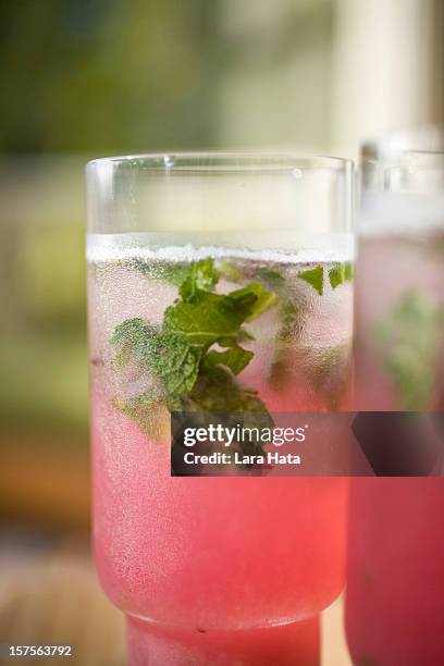 berry mojito - mojito stock pictures, royalty-free photos & images