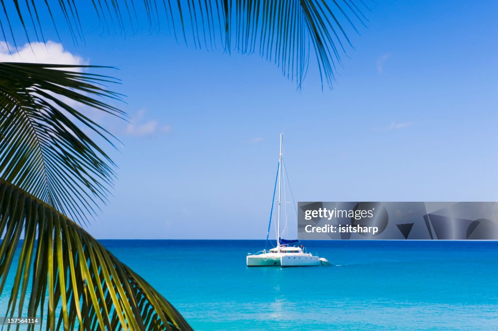 Catamaran in the Caribbean