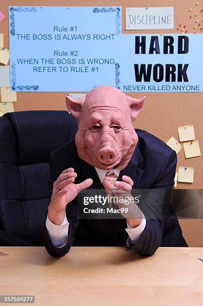 the boss is angry - ugly pig 個照片及圖片檔
