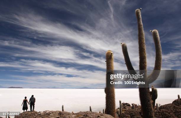 isla incahuasi, bolivien - entsättigt stock-fotos und bilder