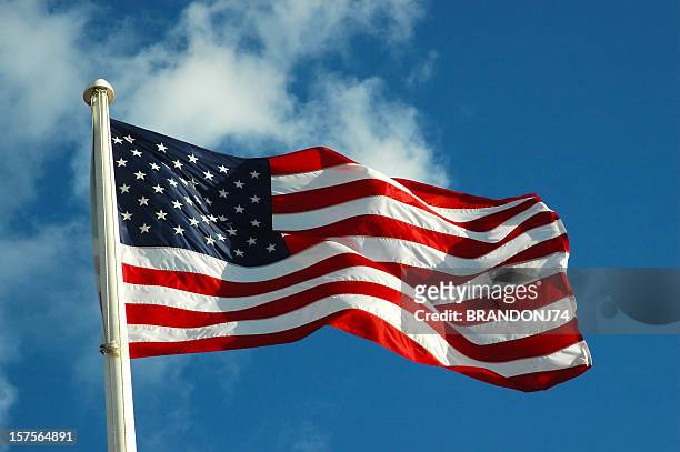 bandiera americana - sventolare la mano foto e immagini stock