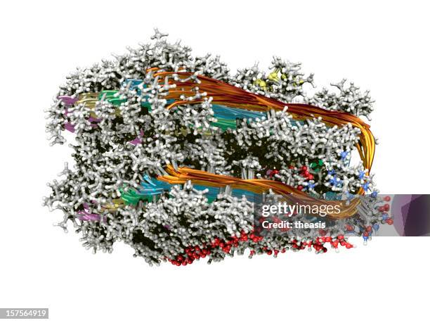 alzheimer's protein fibril - enzyme structure stock pictures, royalty-free photos & images