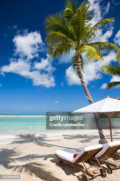 luxury recliner chairs and umbrella on beach - caribbean resort stock pictures, royalty-free photos & images