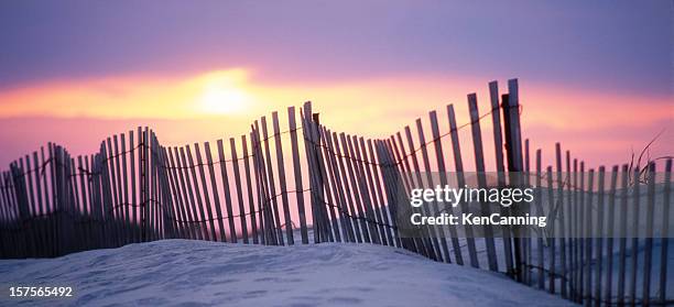 sand dune fence at sunset - cape may 個照片及圖片檔