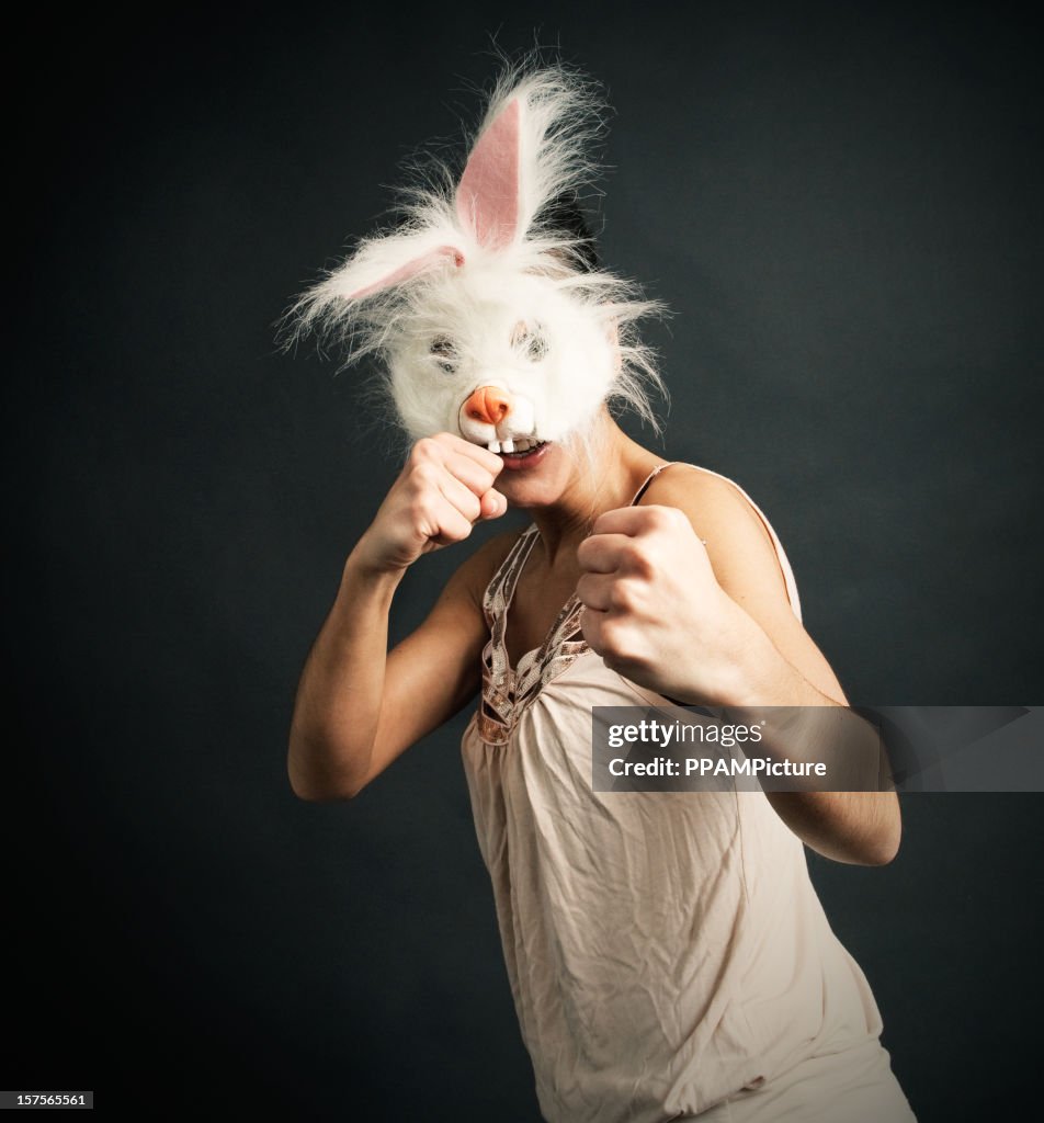 Luchable Rabbit Fighting Rabbit High-Res Stock Photo - Getty Images