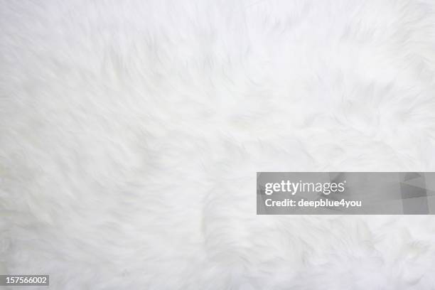 white fur - sheepskin stock pictures, royalty-free photos & images