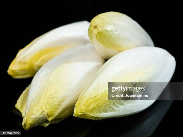 endive - endive stock pictures, royalty-free photos & images