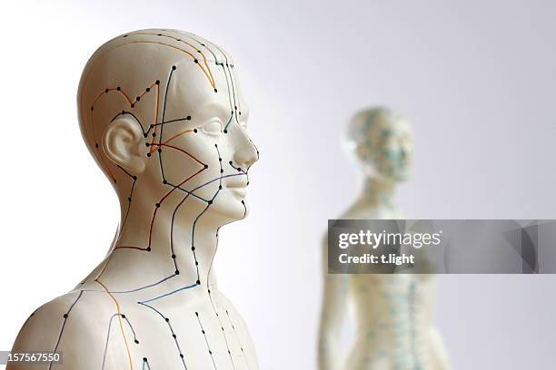 two acupuncture models - focus on male - pressure point stockfoto's en -beelden