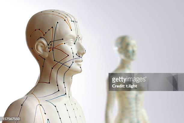 dois modelos de acupunctura-foco no aluno - agulha de acupuntura imagens e fotografias de stock
