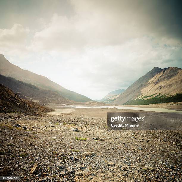 montañas rocosas canadienses columbia ice campo - roca fotografías e imágenes de stock