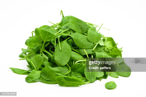 spinat - spinat stock-fotos und bilder