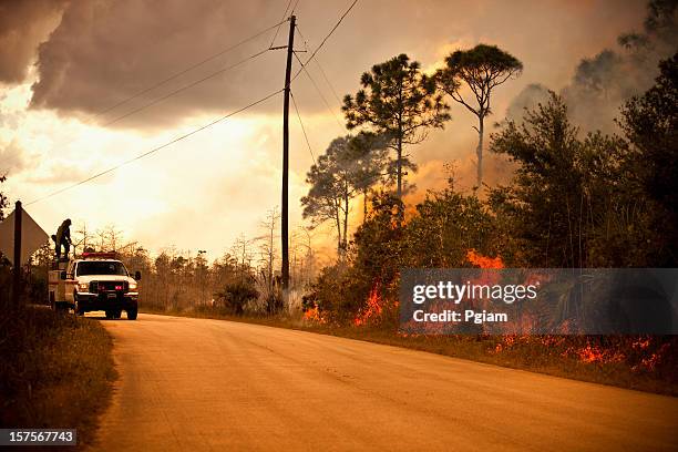 smoke and wilderness emergency truck - slash and burn stock pictures, royalty-free photos & images