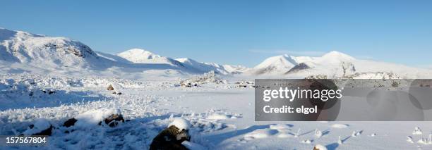 lochan na h'achlaise, rannoch moor, scotland in winter - poolkap stockfoto's en -beelden