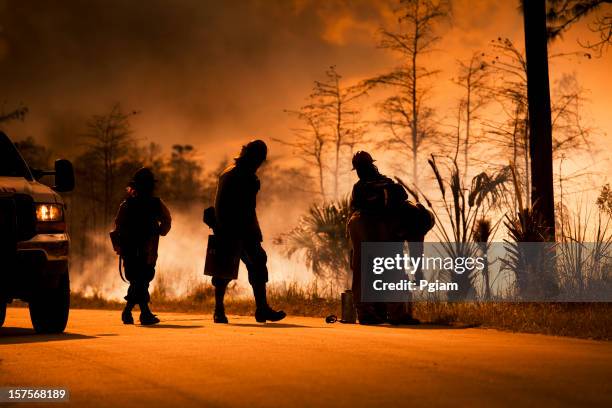 silvestre de emergencia y humo - incendio forestal fotografías e imágenes de stock