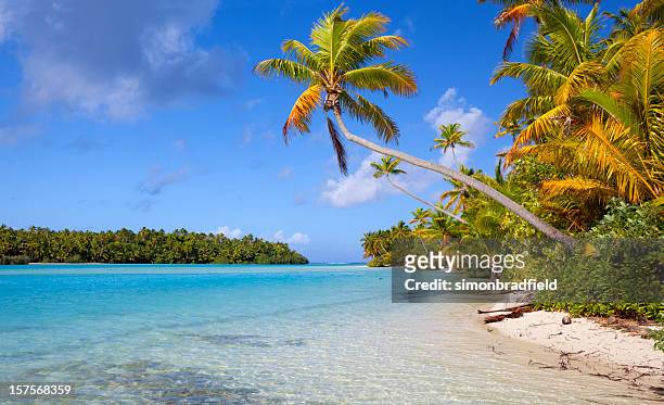 tropical island paradise in the cook islands - aitutaki bildbanksfoton och bilder