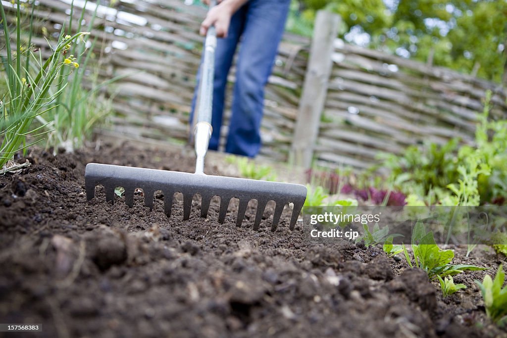 Cumuler le jardin