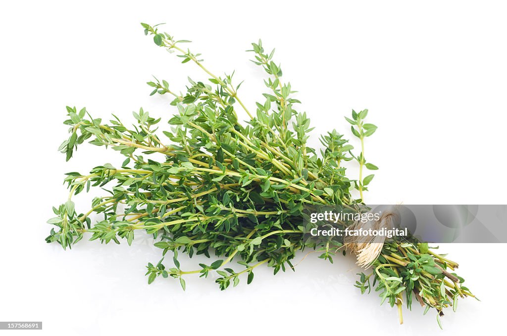 Fresh thyme tas Ligoté photo sur fond blanc
