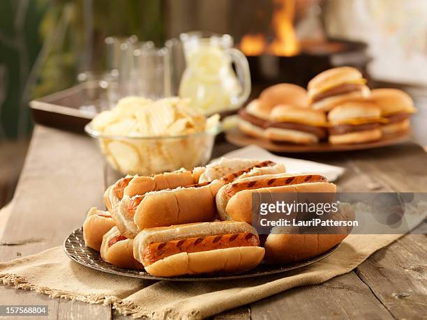 churrasco de cachorro-quente com um piquenique - hot dog - fotografias e filmes do acervo