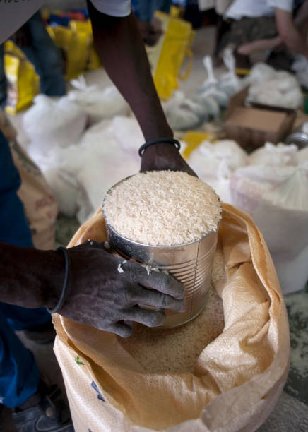 Half Ridge Sack 2,899 Sack Rice Stock Photos, High-Res Pictures, and Images - Getty Images